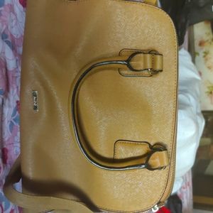 Aldo Bag
